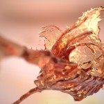 Geminus 3D Realflow Splash