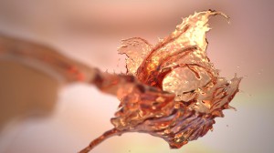 Geminus 3D Realflow Splash