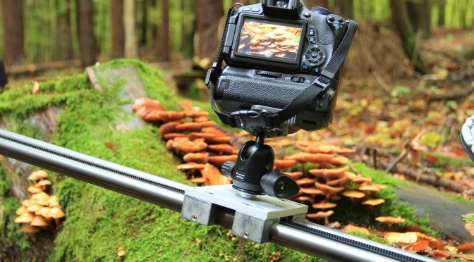 Geminus 3D Making of