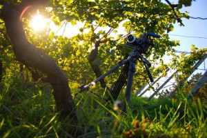 Geminus 3D Imagefilm Making of