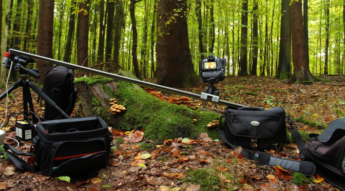 Geminus 3D Making of