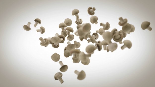 Tutorial mParticles in 3ds Max